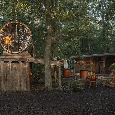 Tinyparks Forest Cabins Hoogersmilde Εξωτερικό φωτογραφία