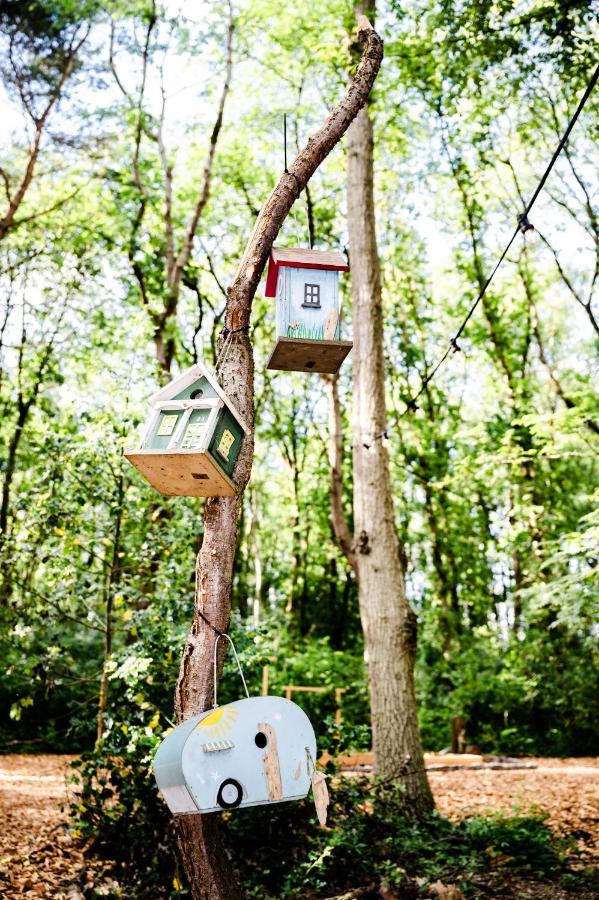 Tinyparks Forest Cabins Hoogersmilde Εξωτερικό φωτογραφία