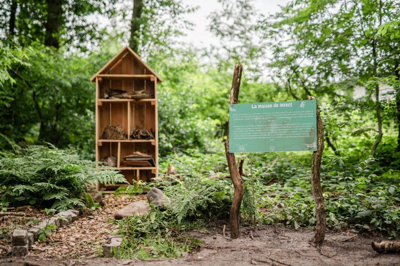 Tinyparks Forest Cabins Hoogersmilde Εξωτερικό φωτογραφία