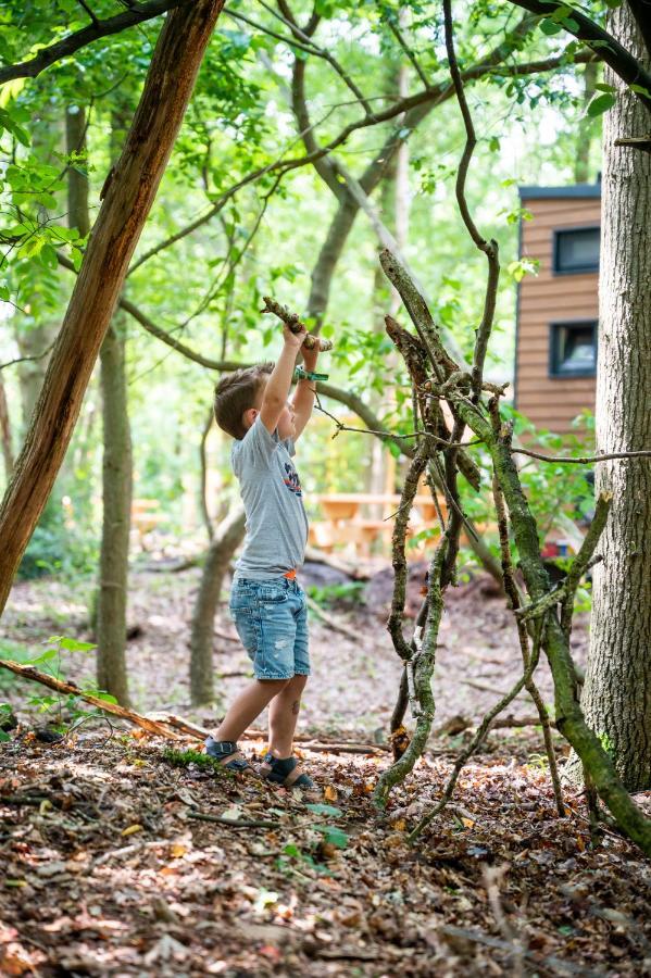 Tinyparks Forest Cabins Hoogersmilde Εξωτερικό φωτογραφία