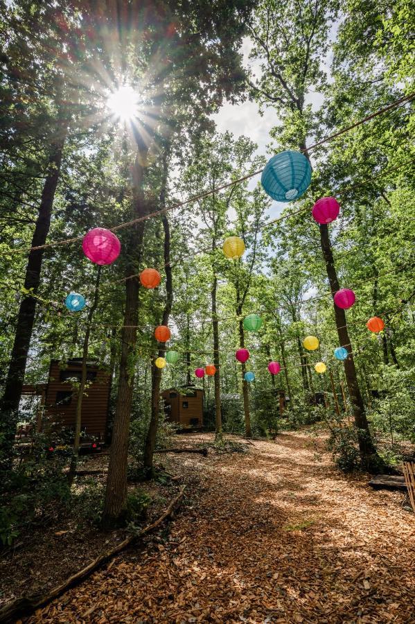 Tinyparks Forest Cabins Hoogersmilde Εξωτερικό φωτογραφία