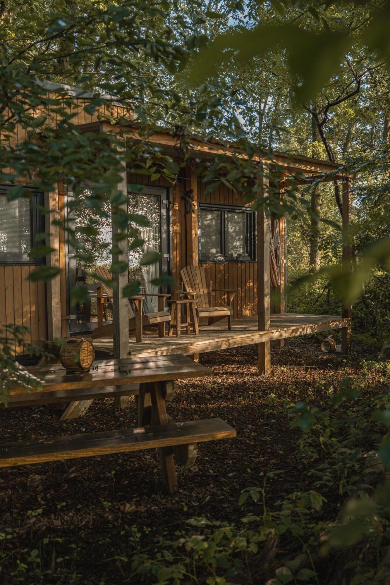 Tinyparks Forest Cabins Hoogersmilde Εξωτερικό φωτογραφία